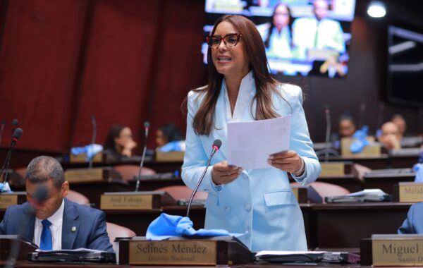 Selinée Méndez exige al MINERD informe sobre planteles pendientes y resultados de su plataforma digital