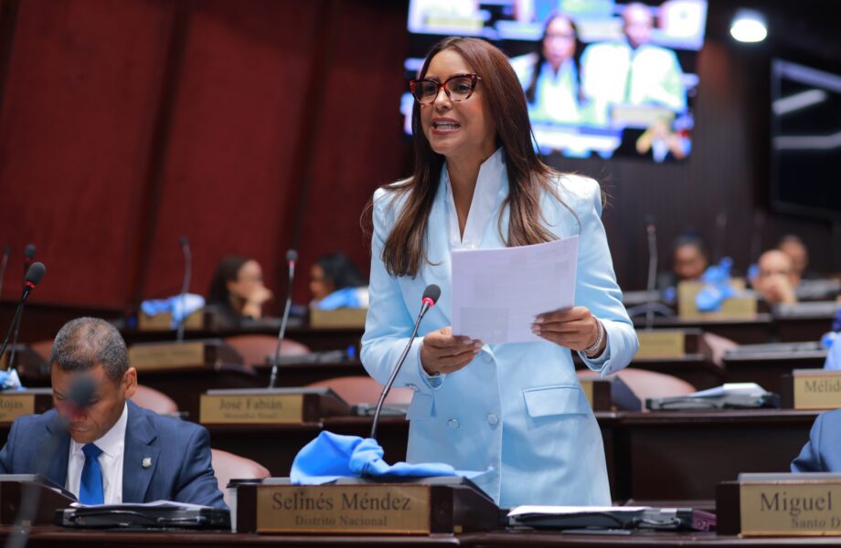 Selinée Méndez exige al MINERD informe sobre planteles pendientes y resultados de su plataforma digital