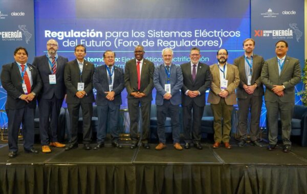 Astacio advierte retos del sistema eléctrico ante crecimiento anual de la demanda de un 5 %