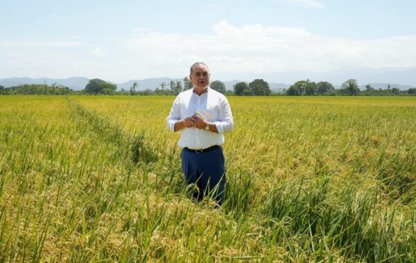 Video confirma postura del ministro de Agricultura sobre polémica por supuesta dispensa al sector arrocero