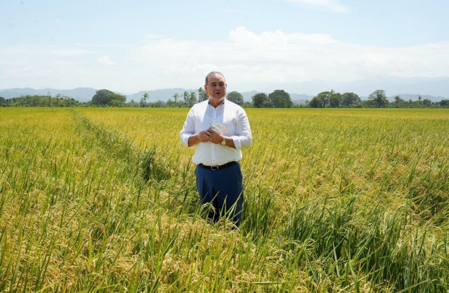 Video confirma postura del ministro de Agricultura sobre polémica por supuesta dispensa al sector arrocero